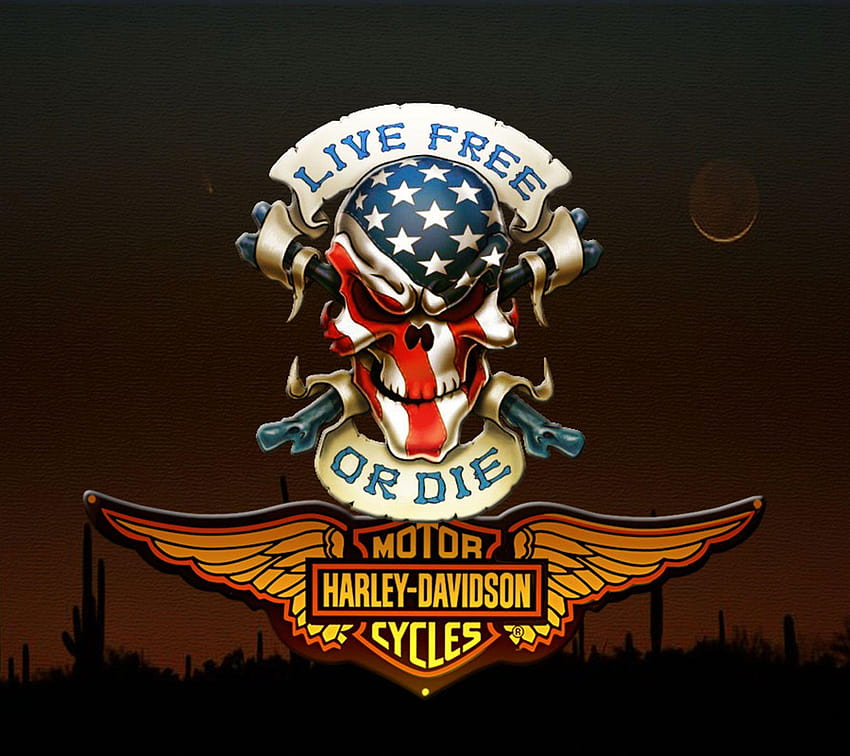 Harley Davidson Kafatası Logosu için HD duvar kağıdı