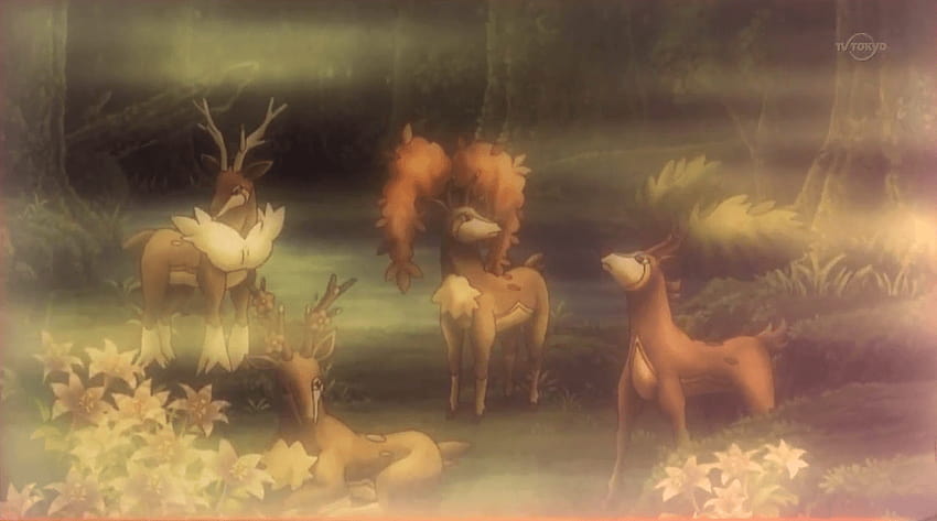 Pokemon of the Day Gen 5! Deerling! Sawsbuck! Seasonal venison HD wallpaper