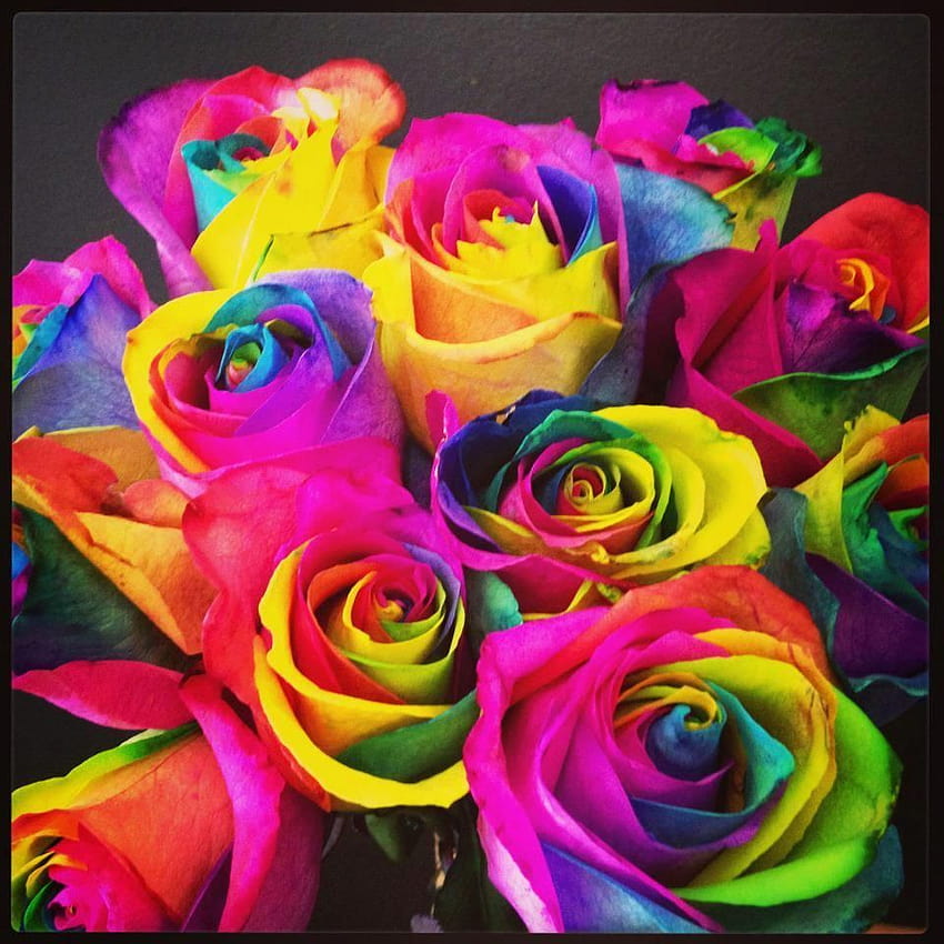 Shelli Whitehurst on Colour, tie dye roses HD phone wallpaper | Pxfuel
