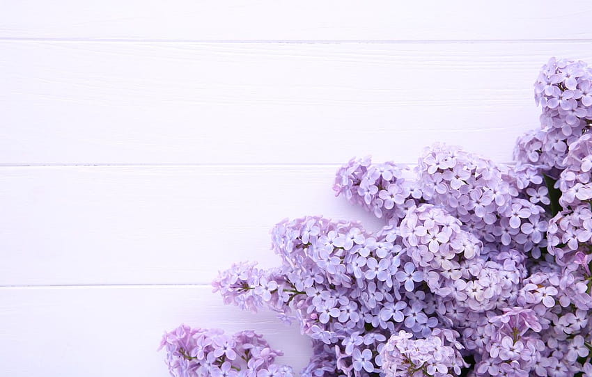 flowers, background, wood, flowers, lilac, purple, lilac , section цветы, purple lilac HD wallpaper