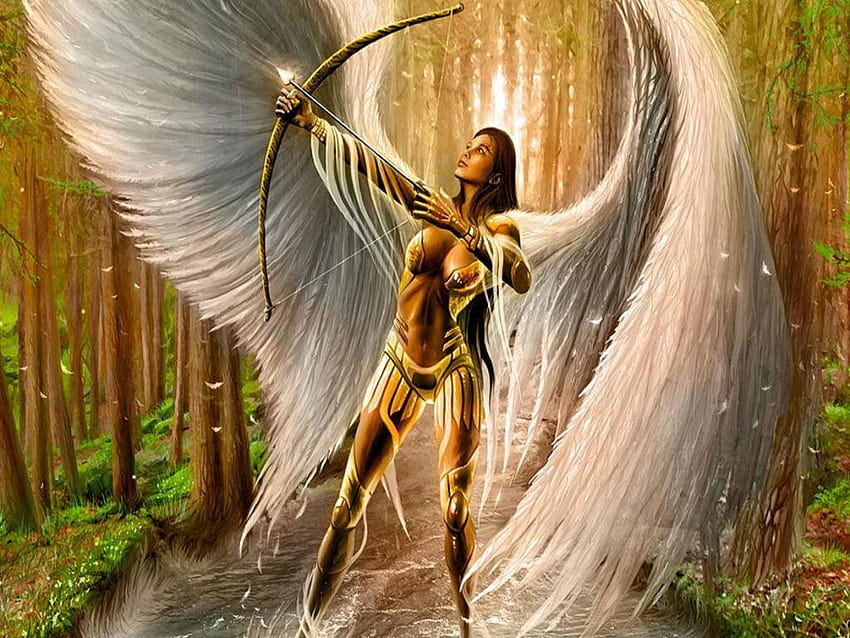 warrior Angel HD Wallpapers  Desktop and Mobile Images  Photos