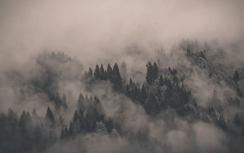 Misty Mountain Landscape, misty mountains autumn HD wallpaper