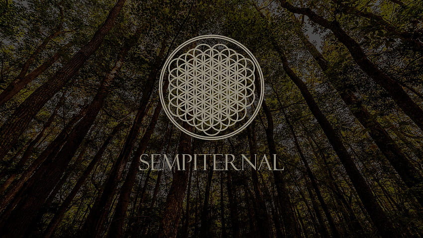 Bring Me The Horizon 15516 1920x1080 px ~ WallSource, get scared band HD wallpaper