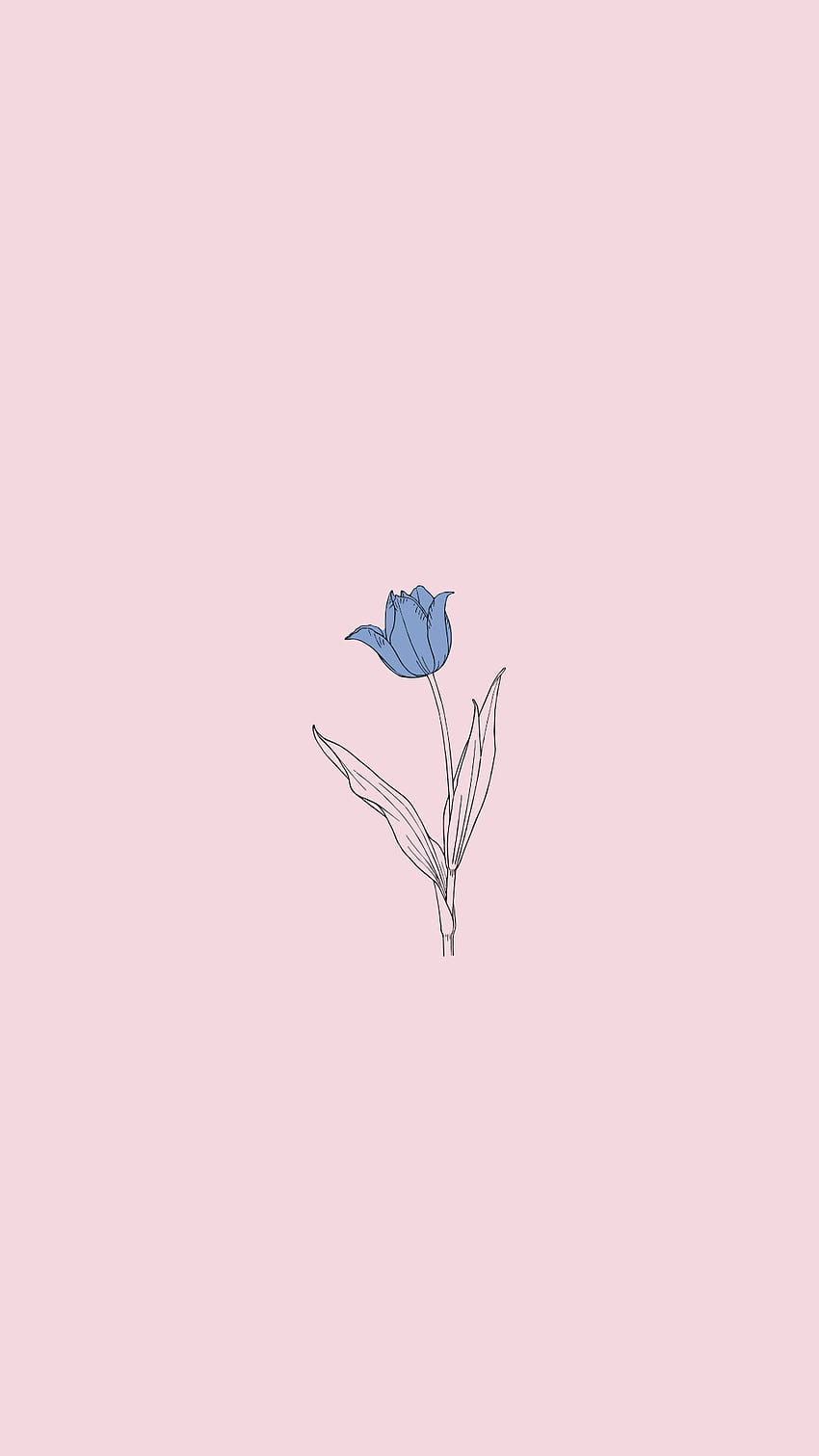 Blue rose, minimalist tumblr HD phone wallpaper | Pxfuel