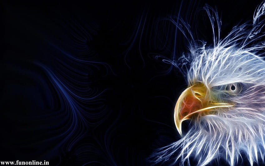 eagle abstract, eagle eye HD wallpaper