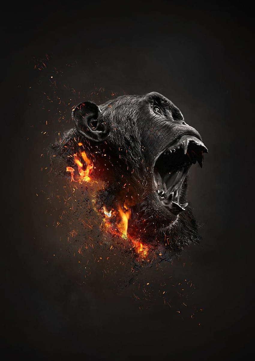 Impressionante arte digital de vários artistas, gorila de fogo Papel de parede de celular HD