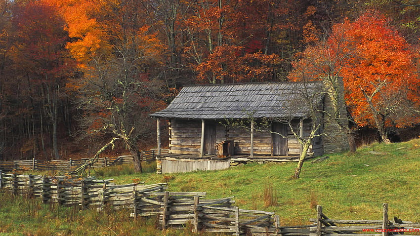 Autumn Fall Color Kentucky Country Log Cabin brightly fall [1600x900] for your , Mobile & Tablet, cabin american HD wallpaper