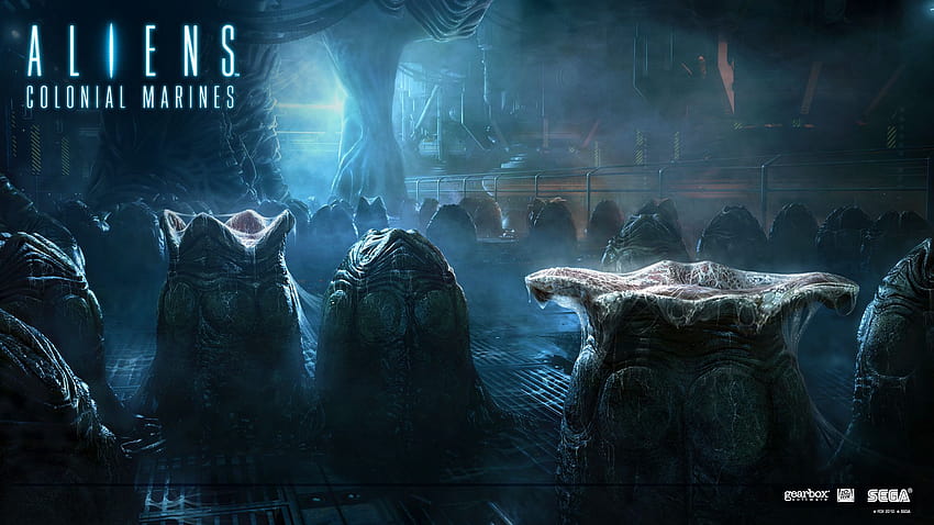 Another New Aliens: Colonial Marines, aliens colonial marines HD wallpaper