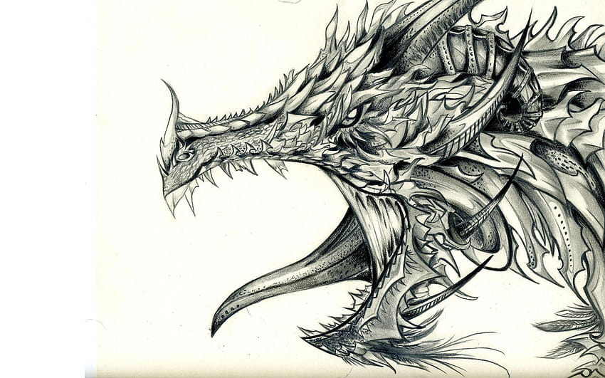 Dragon Drawing For PC, cool drawings HD wallpaper
