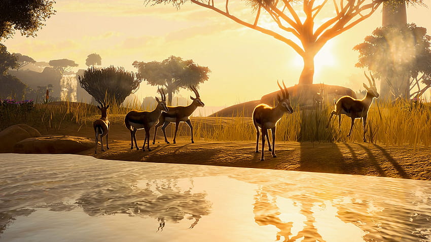 Hemat 20% di Planet Zoo: Paket Peningkatan Deluxe di Steam, planet zoo 2020 Wallpaper HD