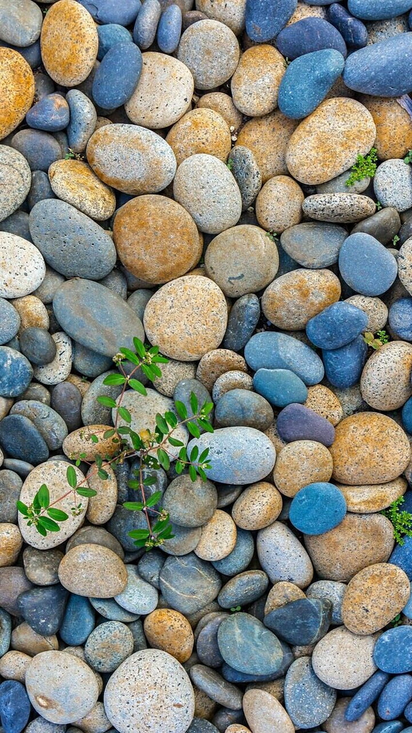 Rocks, Stones，Cobblestone, Pebble & Sands . …, multi rocks HD phone wallpaper