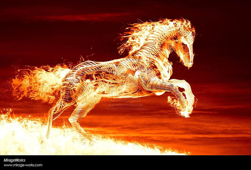 Cavalo feito de fogo, cavalos flamejantes papel de parede HD