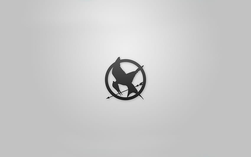Hunger Games Backgrounds, aesthetic for games HD wallpaper