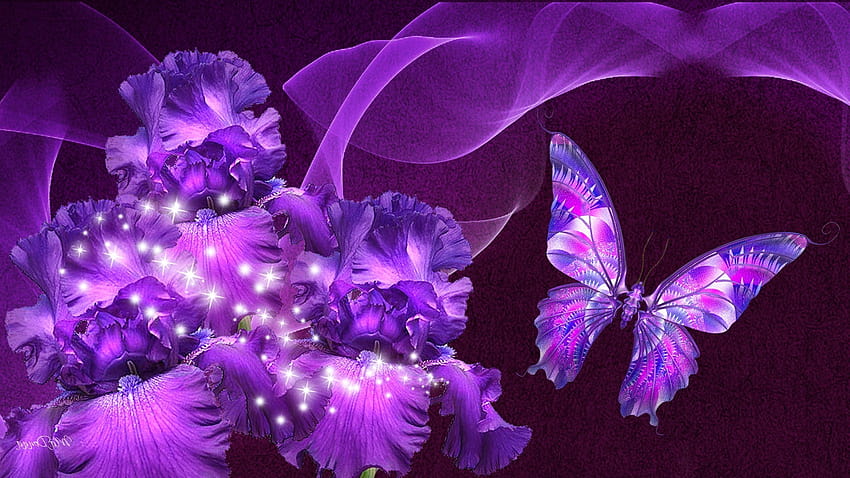 6 ピンクと紫の蝶、オレンジと紫の蝶 高画質の壁紙