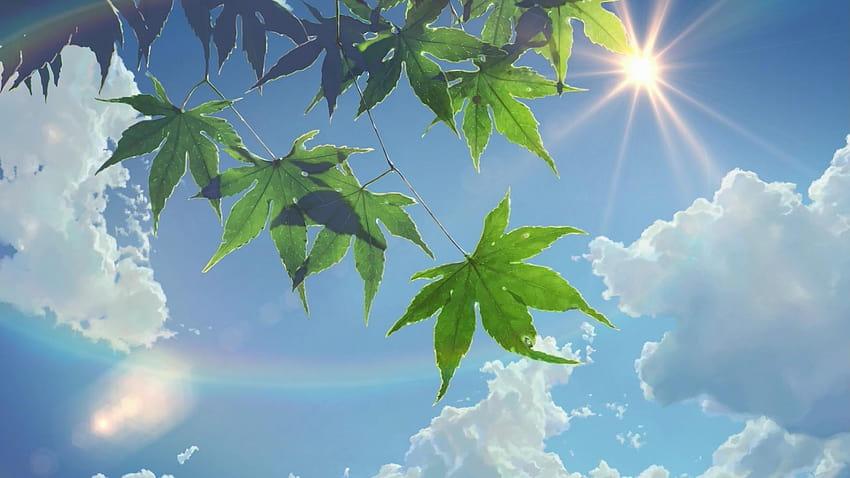 Makoto Shinkai, aesthetic anime pc HD wallpaper