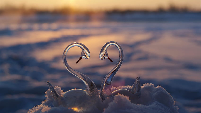Glass swan toy, snow, love heart 2880x1800 , hearts in the snow HD wallpaper