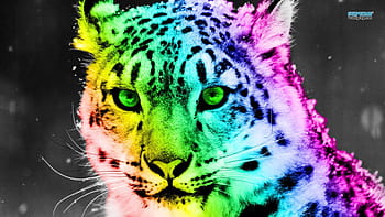 Rainbow Leopard Wallpaper • Animal Print • Milton & King USA