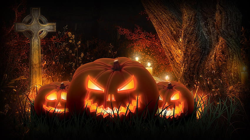 Scarecrows and Pumpkins, halloween pumpkin heads HD wallpaper