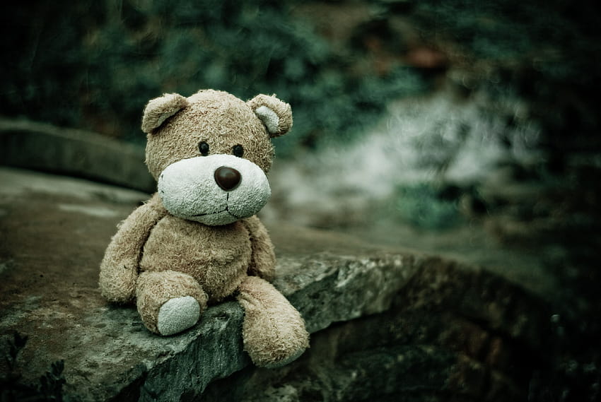 50 Therapy, teddy bear therapy HD wallpaper