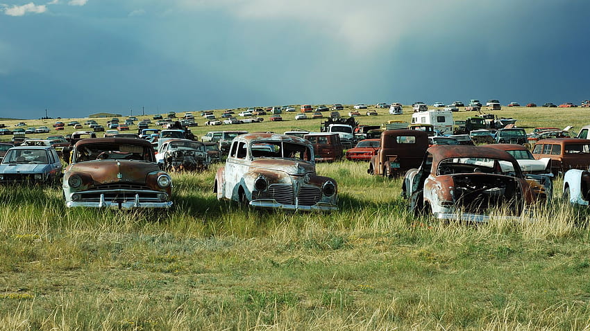 Look Like You're In a Lovely Junkyard During Your Next Video Call, car graveyard HD wallpaper