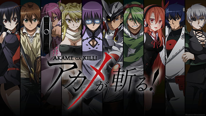 Akame Ga Kill Pics 9134 HD 월페이퍼