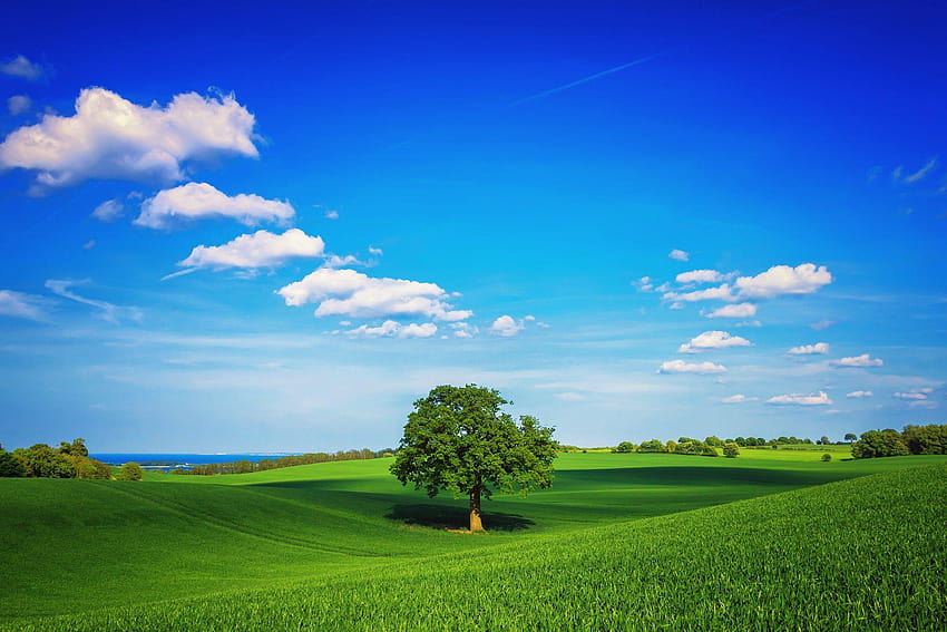 result for backgrounds beautiful green field HD wallpaper
