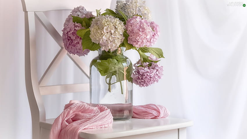 bouquet, Vase, Chair, hydrangeas, anthurium hydrangea HD wallpaper