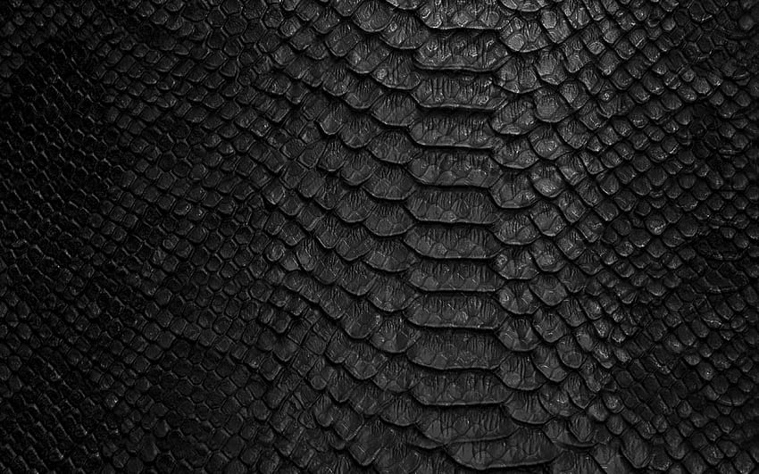 czarna tekstura skóry węża, tło skóry węża, tekstura kobry, czarne kreatywne tło, wąż o rozdzielczości 3840x2400. Wysoka jakość, tekstura węża Tapeta HD