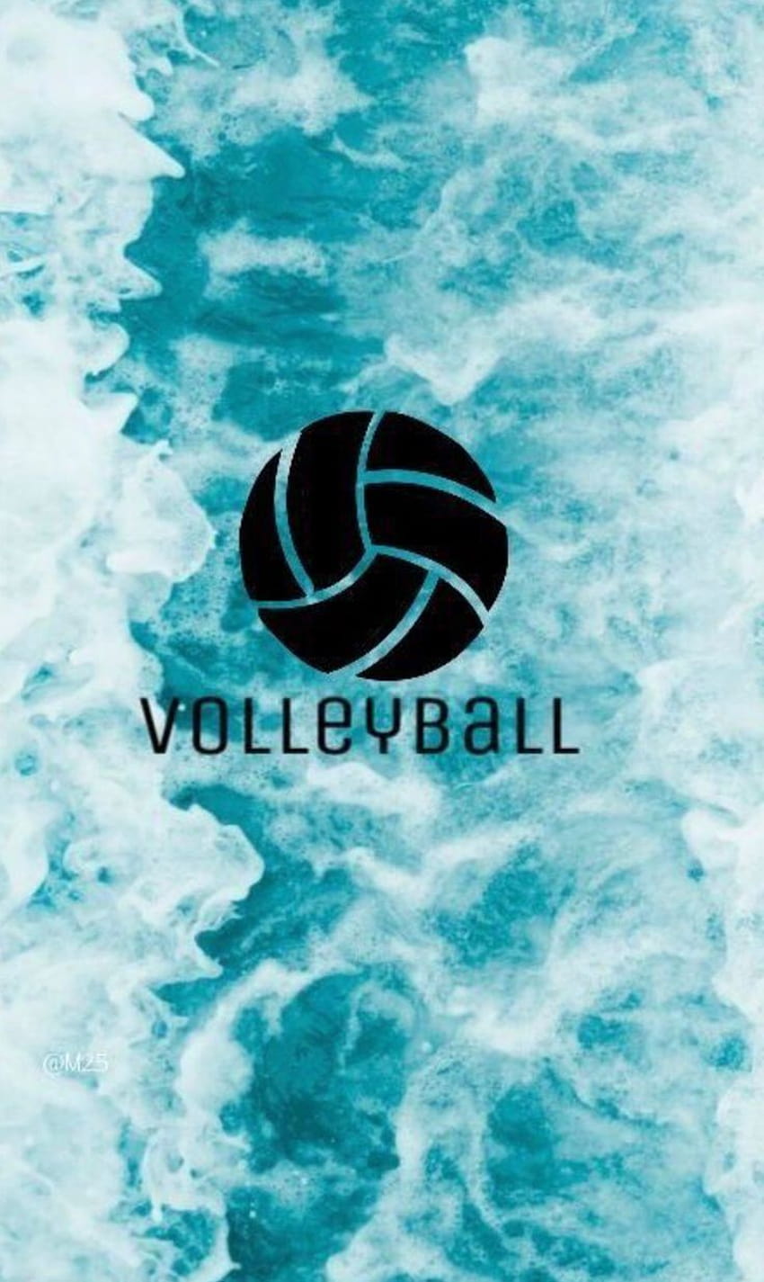 Volleyball Logo Clipart, HD Png Download , Transparent Png Image - PNGitem