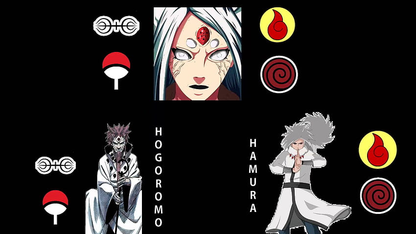 The Strawhat Family Tree : r/MemePiece