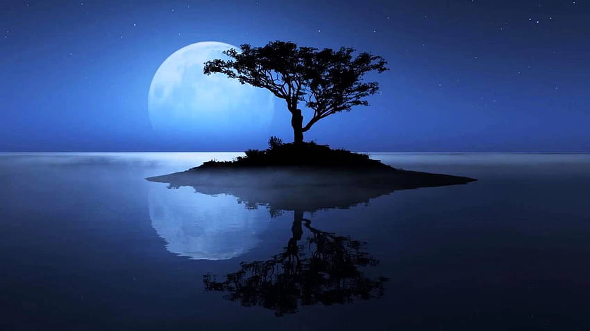 Deep Calming Music Under Full Moon Peaceful Night HD wallpaper