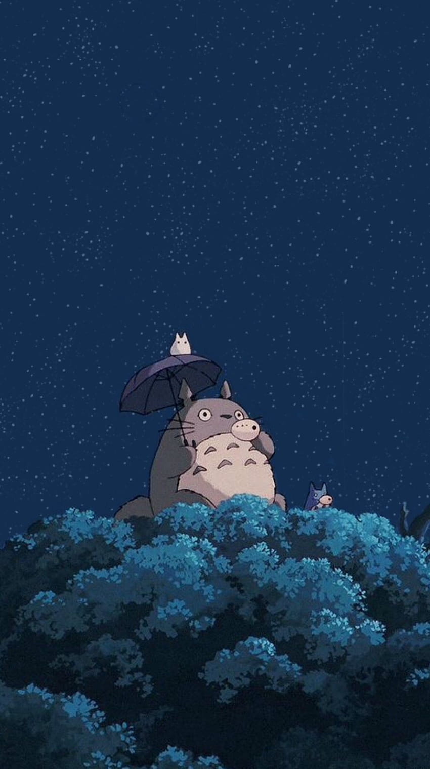 Hình nền động Totoro siêu dễ thương  Totoro Dễ thương Hình nền