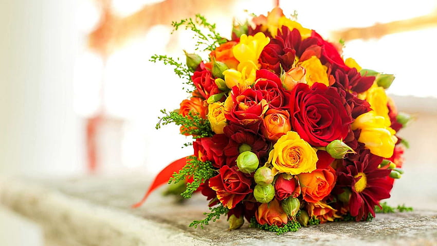 Red and yellow roses flowers HD wallpaper | Pxfuel