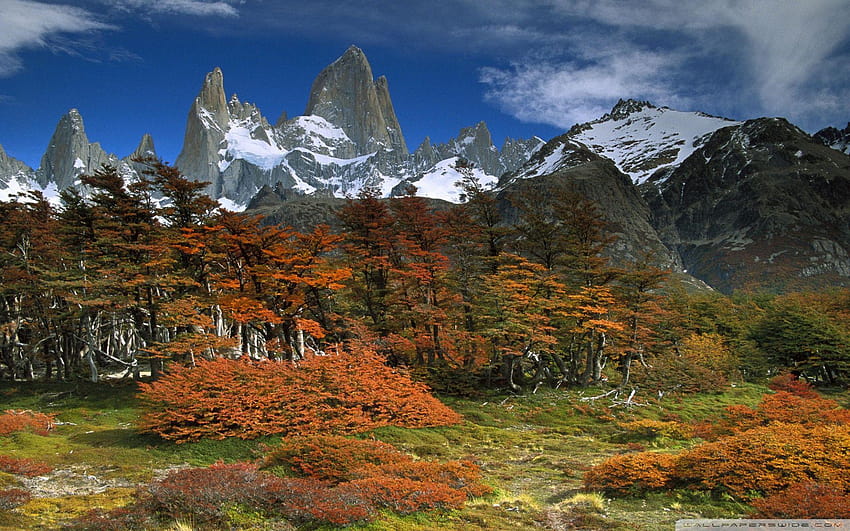 Fitzroy And Beech Trees In Autumn Los Glaciares National Park HD wallpaper