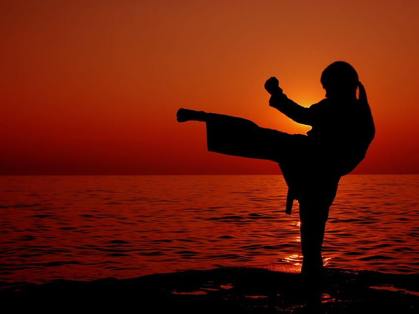 Full Q Karate and Showcase 49 [1024x768] for your , Mobile & Tablet, full contact karate HD wallpaper