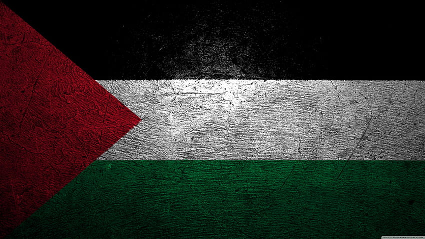 Flaga Palestyny ​​❤ dla Ultra TV, Palestyna Tapeta HD