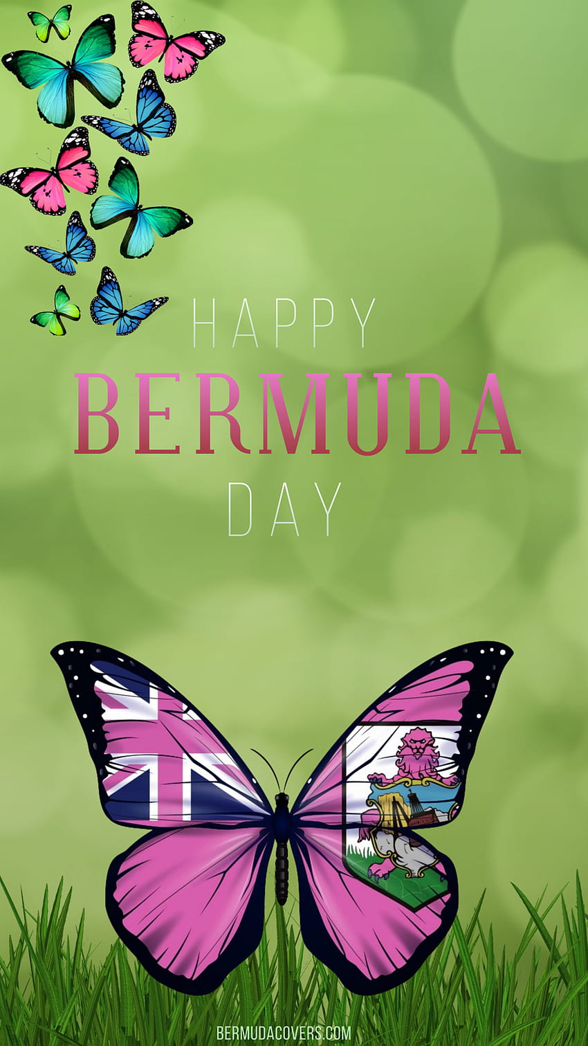緑の背景に蝶の旗 幸せなバミューダの日 Facebook カバー & 電話 HD電話の壁紙