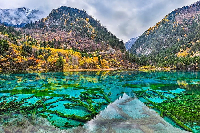Jiuzhai Valley National Park, China and Backgrounds, jiuzhaigou valley national park HD wallpaper