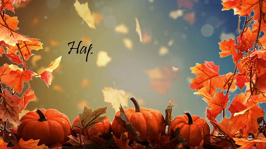 Happy Thanksgiving Wallpaper 4K, 5K, Thanksgiving Day