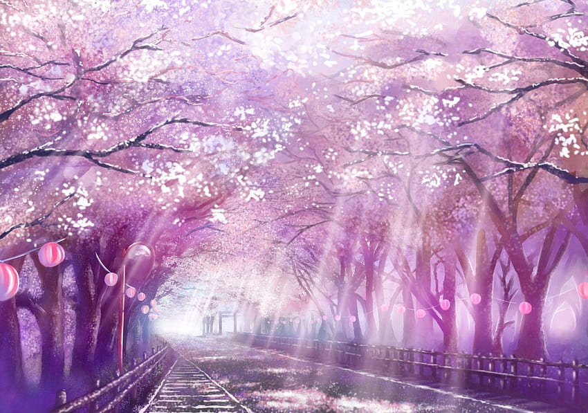 Cherry Blossoms Аниме пейзажи, аниме черешови дървета HD тапет