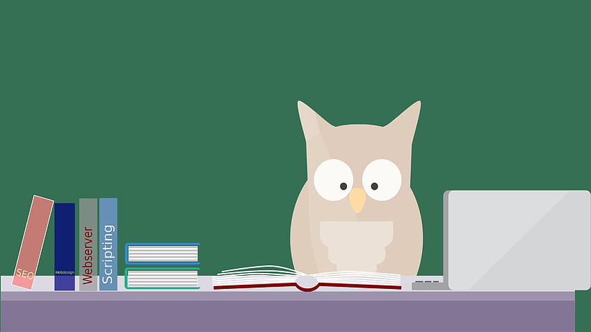 Learning Owl Flat Vector by Charlie HD wallpaper
