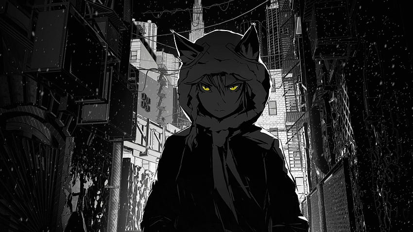 3605120, anime girl cat hoodie HD wallpaper | Pxfuel