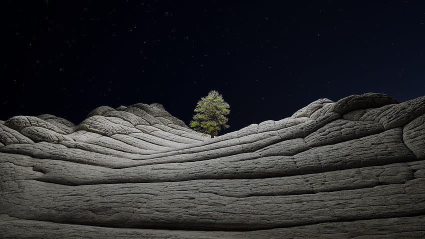 macOS Big Sur, Stock, Noche, Árbol solitario, Rocas sedimentarias, Cielo estrellado, Oscuro, iOS 14, Naturaleza, árbol nocturno fondo de pantalla