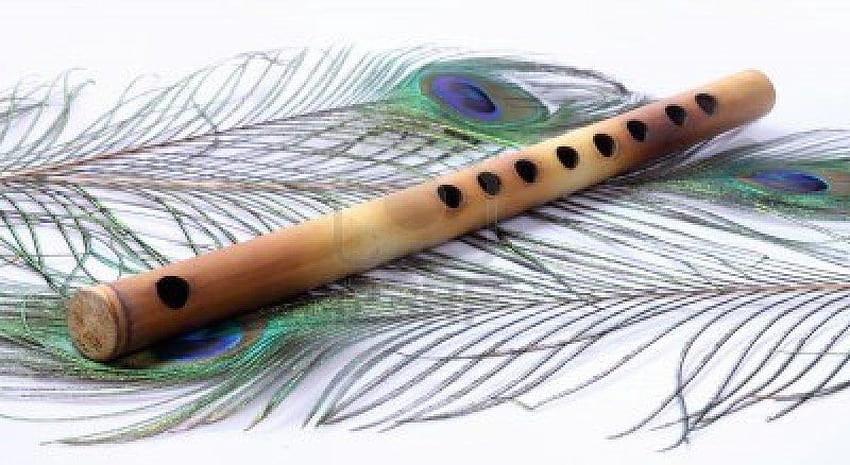 Flute, of peacock feathers 2016 HD wallpaper
