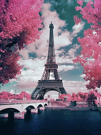 46 Pink Paris Wallpaper  WallpaperSafari
