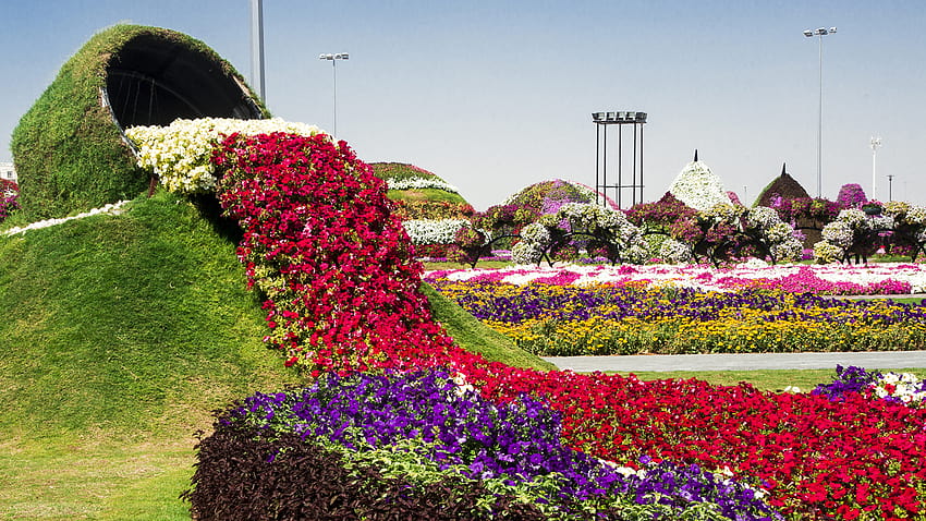 999+ Dubai Miracle Garden Pictures | Download Free Images on Unsplash