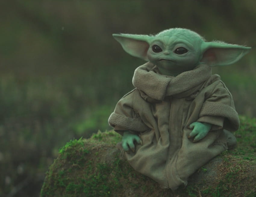 Der Mandalorianer hat gerade ein großes Baby Yoda enthüllt, Grogu Baby Yoda HD-Hintergrundbild