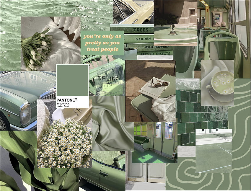 Sage Green, green aesthetic macbook HD wallpaper