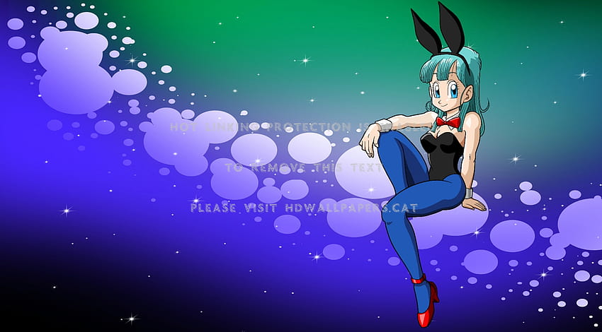 bulma bunny girl manga dragon ball z celana, dragon ball z girls Wallpaper HD