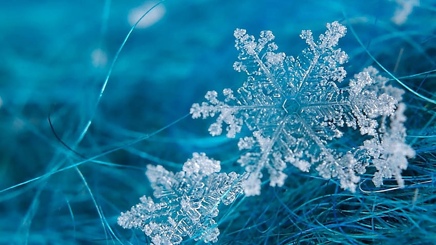 2 Snowflakes , Snow Backgrounds HD wallpaper | Pxfuel